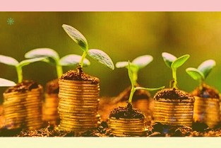 农业农村部就全国农业优异种质资源及资源普查进展情况召开新闻发布会