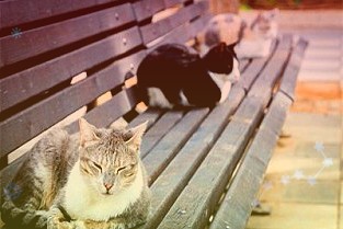 拟参与竞拍兴华锂盐部分股权挂牌价格1.44亿元